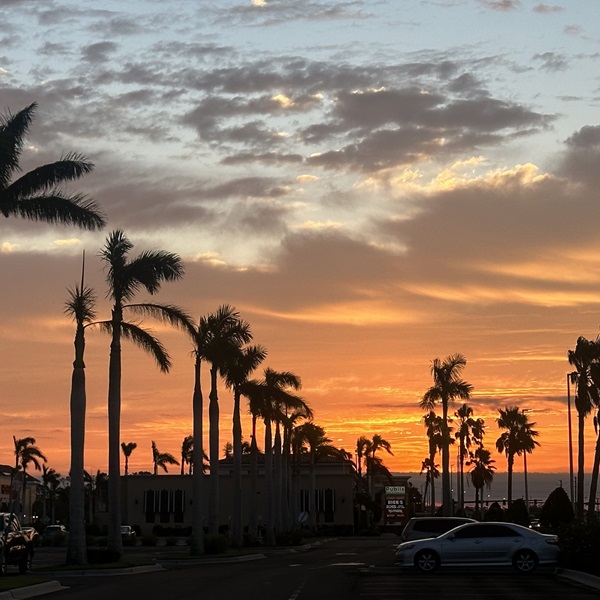 City of North Port  - Webpage Image