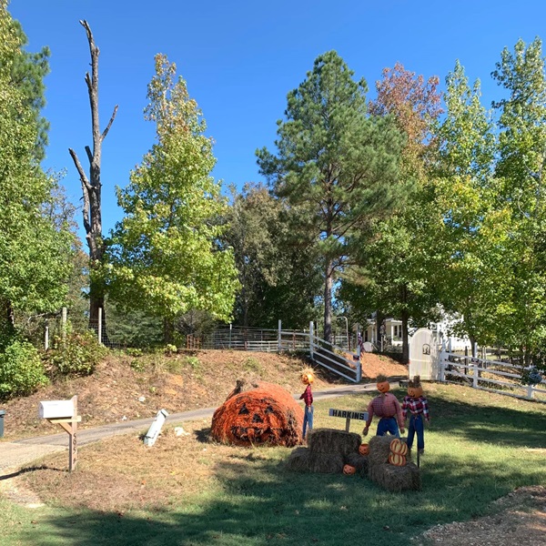Malvern makes an attractive destination for those looking to experience family-friendly fun, at such places as Family Farm. 
