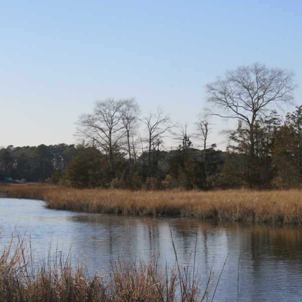 Suggested image for Pagan Creek Dike 