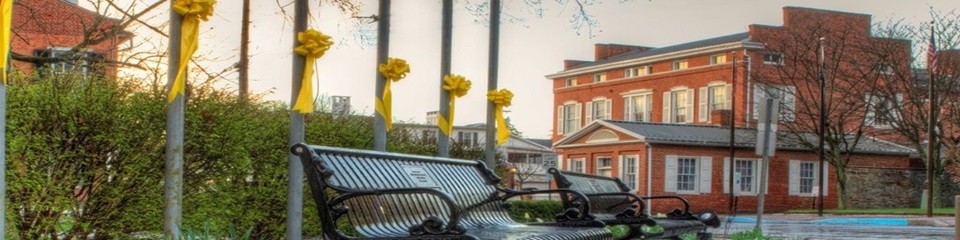 Bedford Historic District  - Header Image