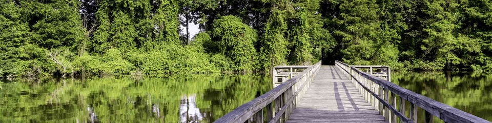 City of Dora  - Header Image