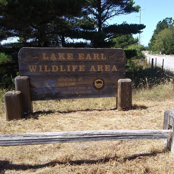 Suggested image for Lake Earl Wildlife Area  