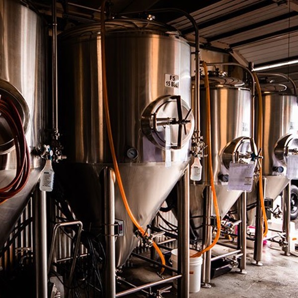 Guests can take tours of the brewing facility to learn about the beer-making process, from brewing to fermentation and packaging. 