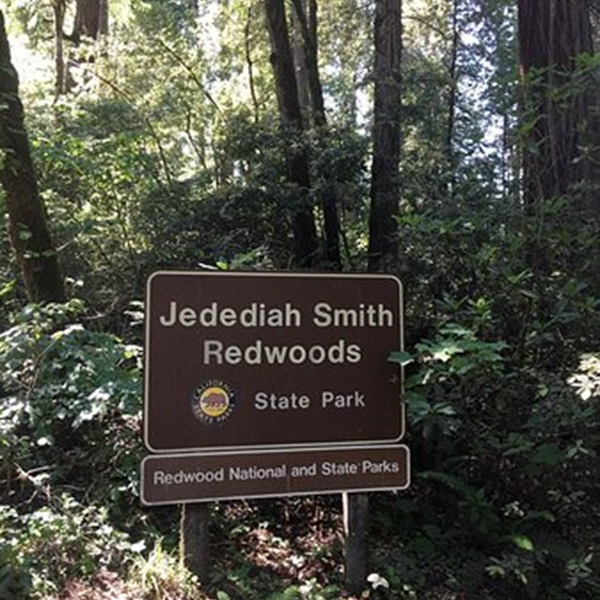 Featured image for Jedediah Smith Redwoods State Park 