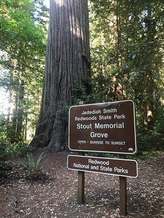 Suggested destination image for Jedediah Smith Redwoods State Park 
