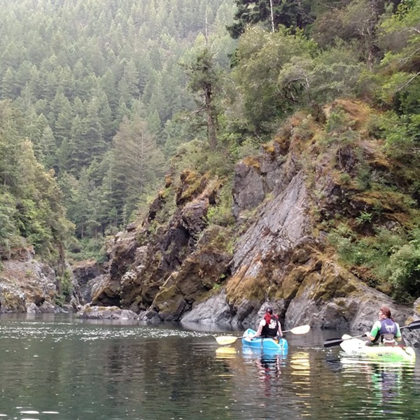 Some sections of the river are great for relaxation, swimming, fishing, and leisurely paddling, perfect for family outings. 
