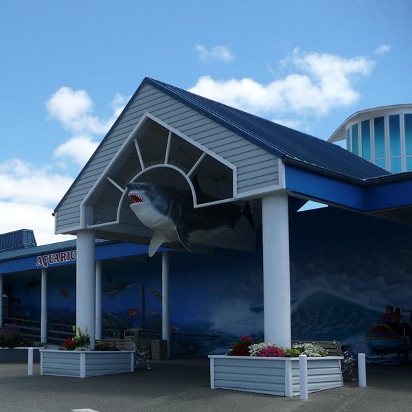 Featured image for Ocean World    