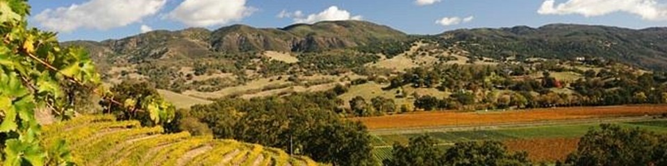 Visit Ukiah  - Header Image