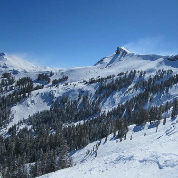 The resort is known for its impressive snowfall, often receiving more than 500 inches of snow annually, making it a favorite destination for powder enthusiasts. 
