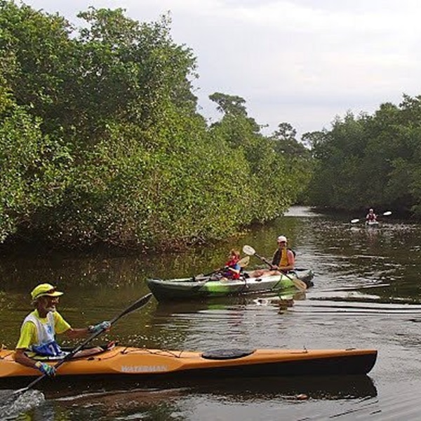The Estero River is perfect for a peaceful paddle through natural Florida landscapes, with rentals and guided tours available. 