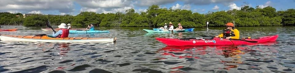 Apalachicola River Paddling Trail System  - Header Image
