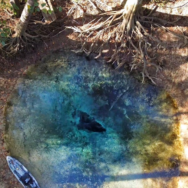 Suggested image for Apalachicola River Paddling Trail System 