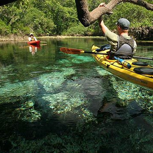 Apalachicola River Paddling Trail System  - Webpage Image