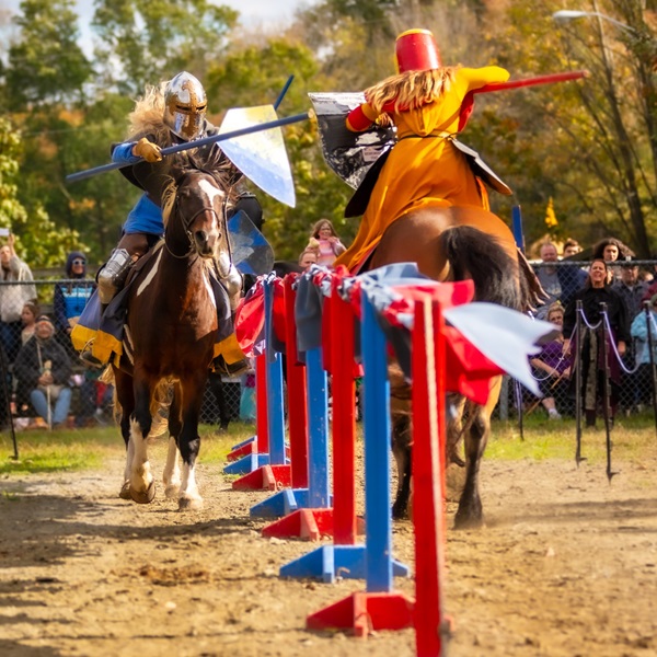 Connecticut Renaissance Faire  - Webpage Image