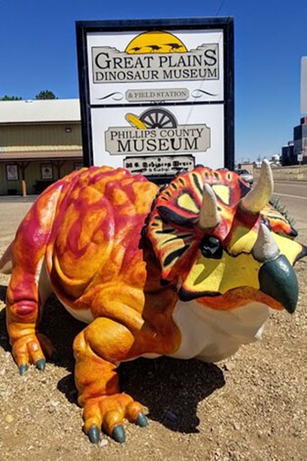 Great Plains Dinosaur Museum and Field Station     - Display Image