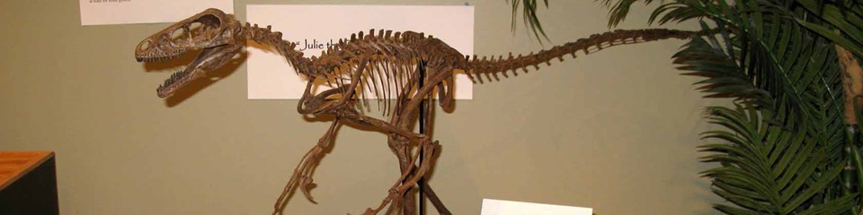 Great Plains Dinosaur Museum and Field Station     - Header Image