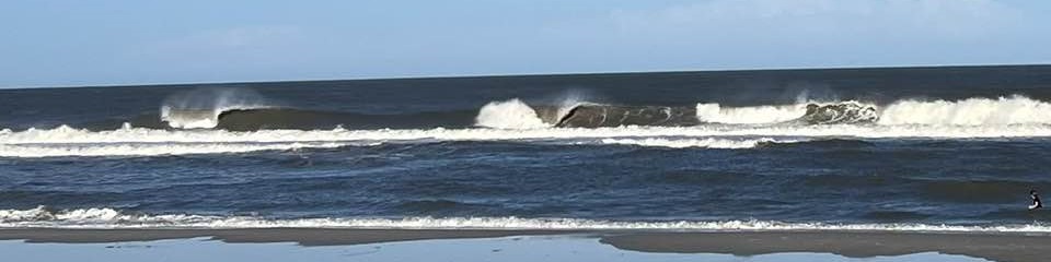 Main Beach Park    - Header Image