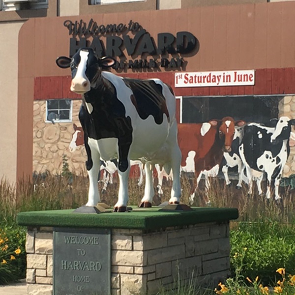Harmilda, the milk cow, became a permanent fixture at the festival in 1966 when Robert Jones of Jones Packing traded some meat for the life size fiberglass Holstein. 