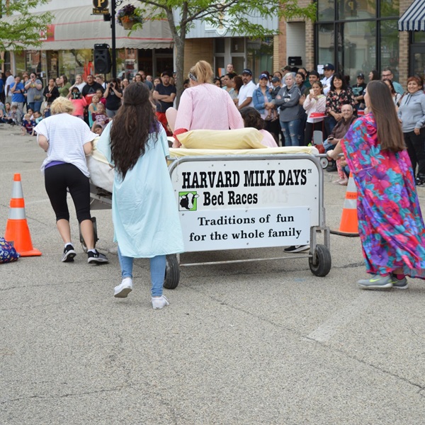 As part of the festival's festivities, the fun and lighthearted Moo-Der Mystery 5K run/walk takes participants on a scenic route through Harvard's picturesque downtown area. 