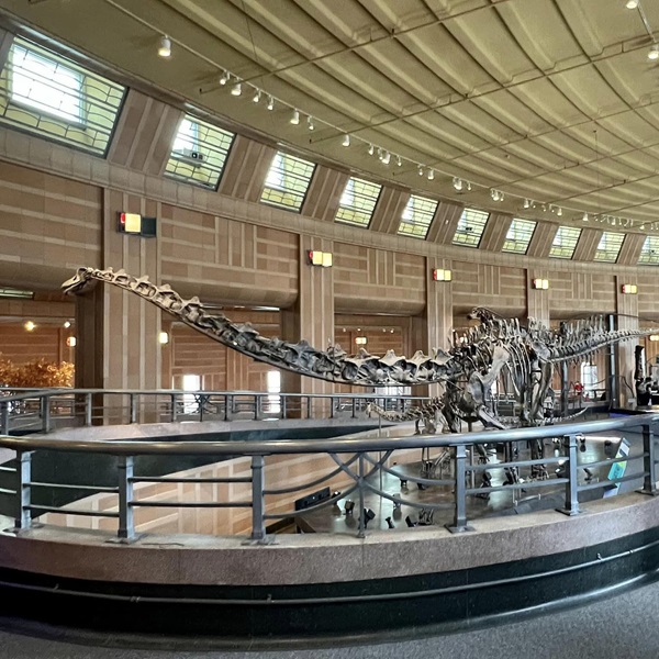 The park features a museum that displays these fossils, along with educational exhibits about the prehistoric animals that once roamed the area. 