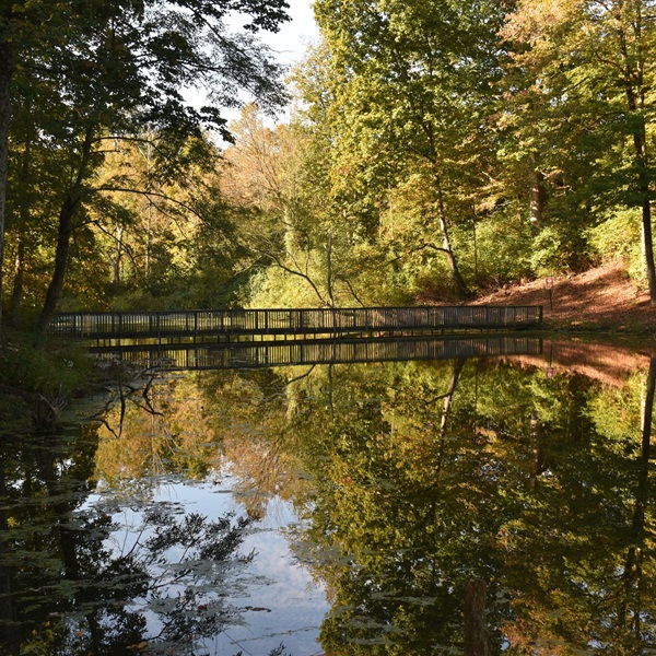 A popular spot for outdoor enthusiasts, Williamstown Lake provides opportunities for boating, fishing, and picnicking, with scenic views and recreational facilities. 