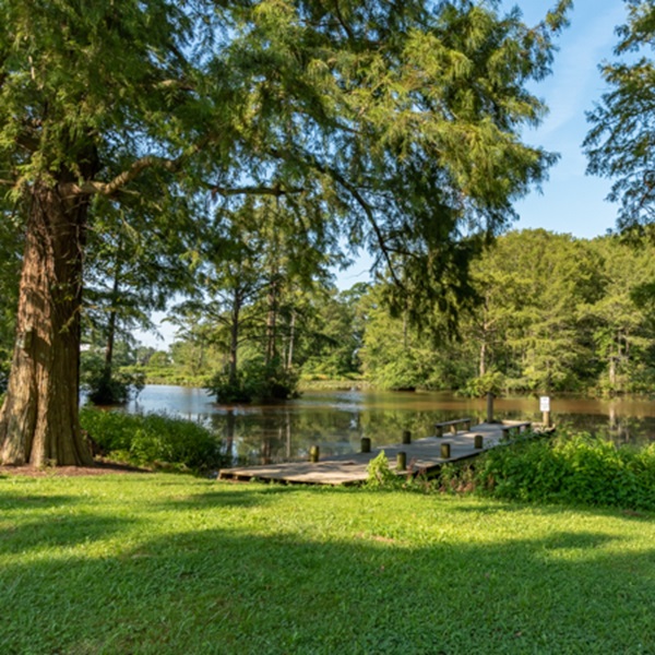Nestled in the heart of the Eastern Shore of Maryland, Mardela Springs boasts picturesque countryside views, rolling farmlands, and serene landscapes. 