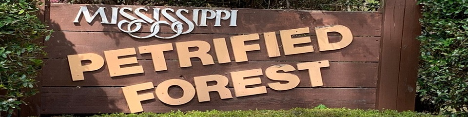 Mississippi Petrified Forest   - Header Image