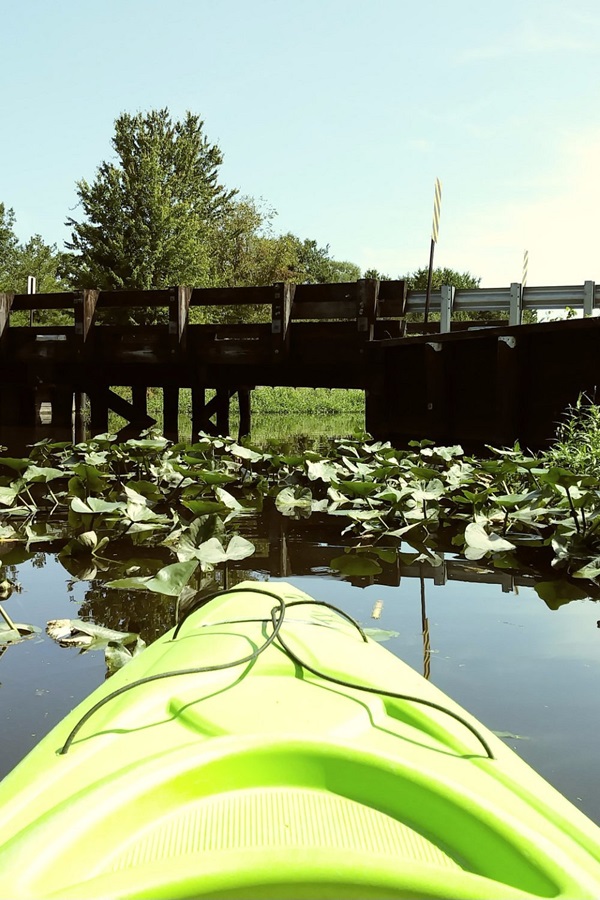 Tuckahoe River Paddling  - Display Image