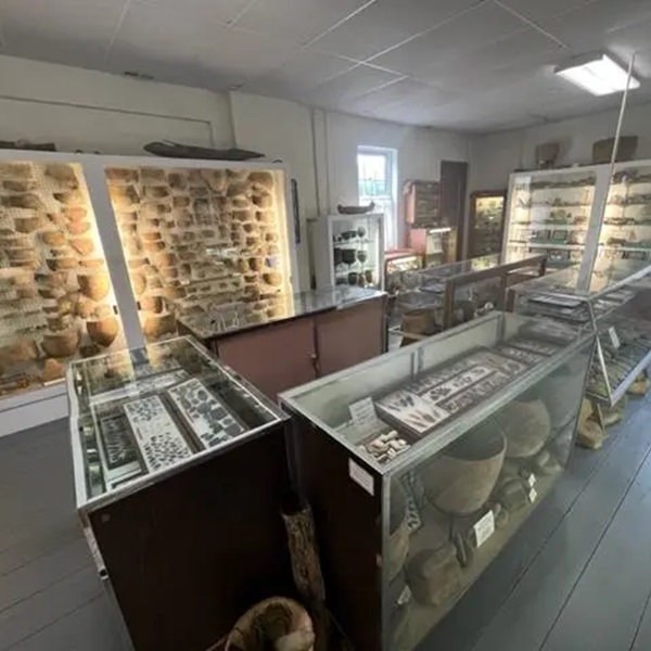 Visitors can enjoy guided tours led by knowledgeable staff or volunteers, providing deeper insights into the museum’s exhibits and the prehistoric era they represent. 
