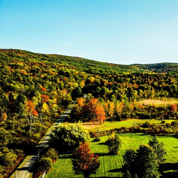 The surrounding area offers ample opportunities for outdoor activities, including hiking, fishing, and bird watching. 