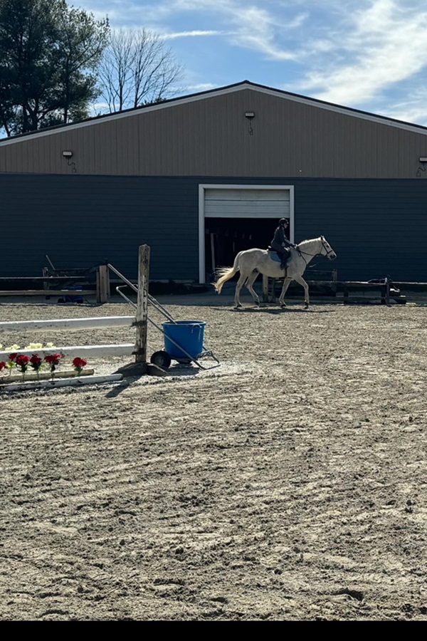 Reinbow's End Farm    - Display Image