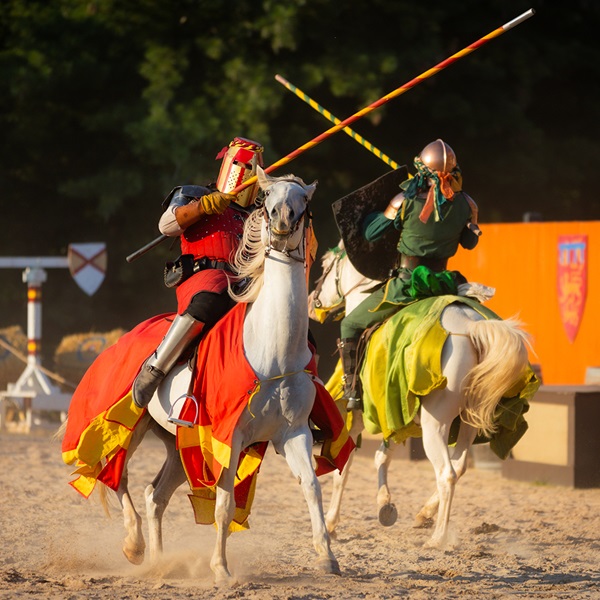 Professional actors and performers bring the Renaissance era to life with their talent, wit, and charm, delighting audiences of all ages. 