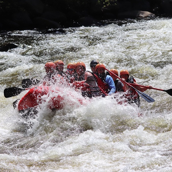  Pigeon River rafting outfitters offer a variety of trip options to suit different preferences and schedules, and visitors can choose from half-day or full-day rafting excursions, as well as combination packages. 