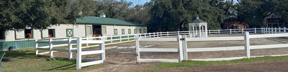 Lake Meadow Farm and Stables   - Header Image