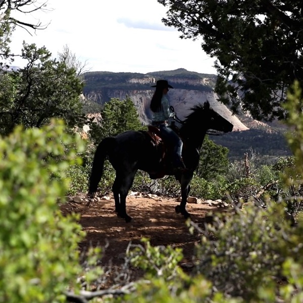 Suggested destination image for Zion Ponderosa 